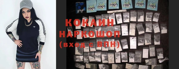 скорость Каменногорск