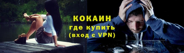 скорость Каменногорск