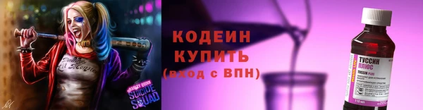 скорость Каменногорск