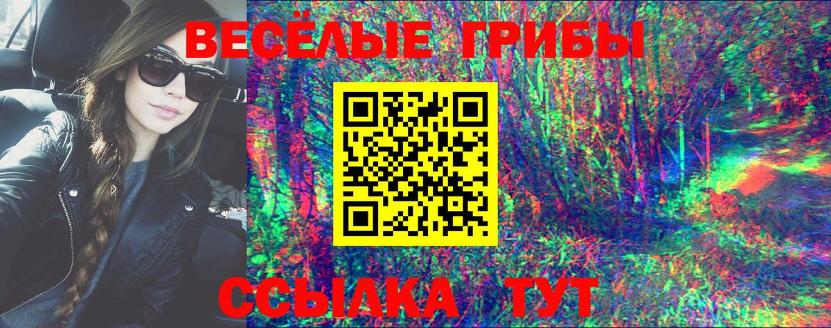Галлюциногенные грибы Psilocybine cubensis  Вход с VPN  Россия 